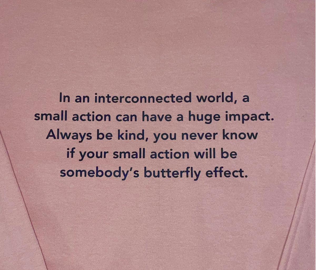 Butterfly Effect Sweatshirt - Blush
